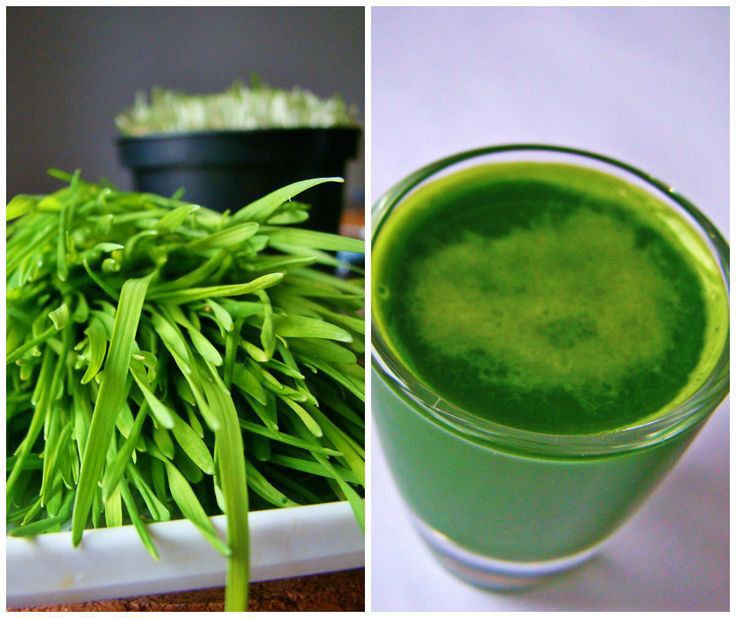 Gooseberry: A Medicinal Treasure Through the Ages