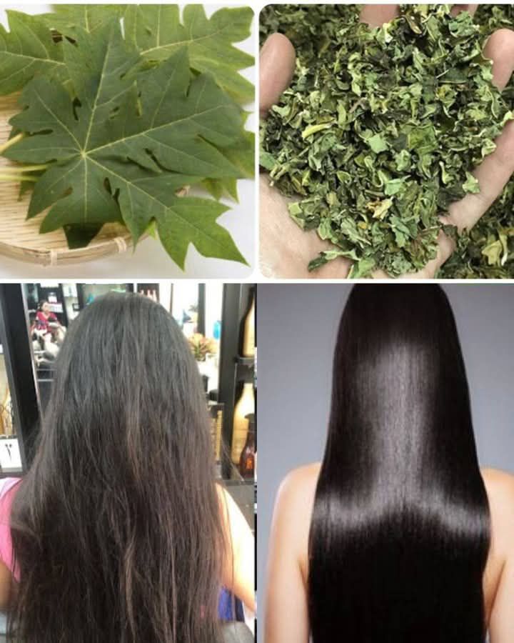 Papaya Leaves for Darkening Hair and Boosting Growth