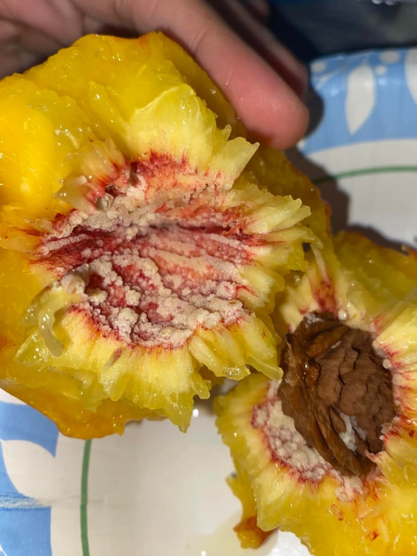 White Stuff on Your Peach Pit – What Does It Mean? 🍑🔍