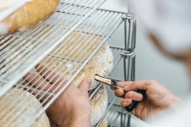 Mayenne pie, Maine pommeau, cheeses… Discover the authentic flavors of Mayenne