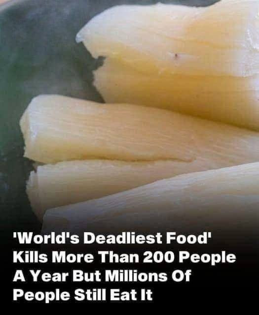 The ‘world’s deadliest food’ claims over 200 lives every year, yet nearly 500 million people still eat it