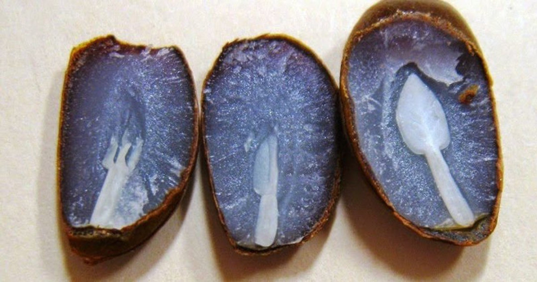 The original legend of the semi-circle: this is the value of the pena riprenderla