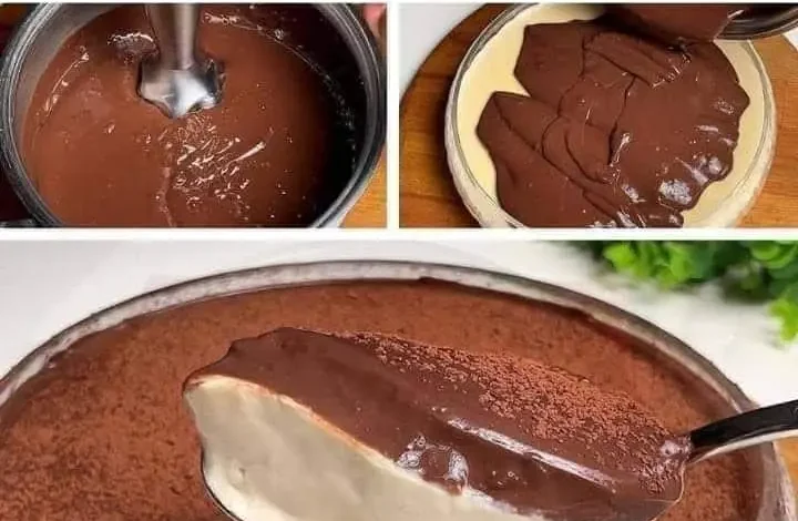 Layered Vanilla and Chocolate Custard Dessert