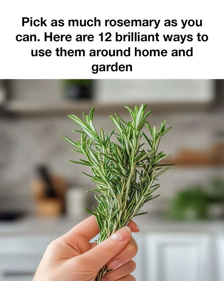 I need to go out and start picking now!