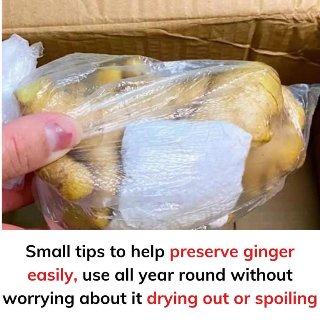 Small tips to help preserve ginger easily, use all year round without worrying about it drying out or spoiling!