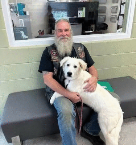 Biker Found This Dog Chained To A Bridge With A Note!