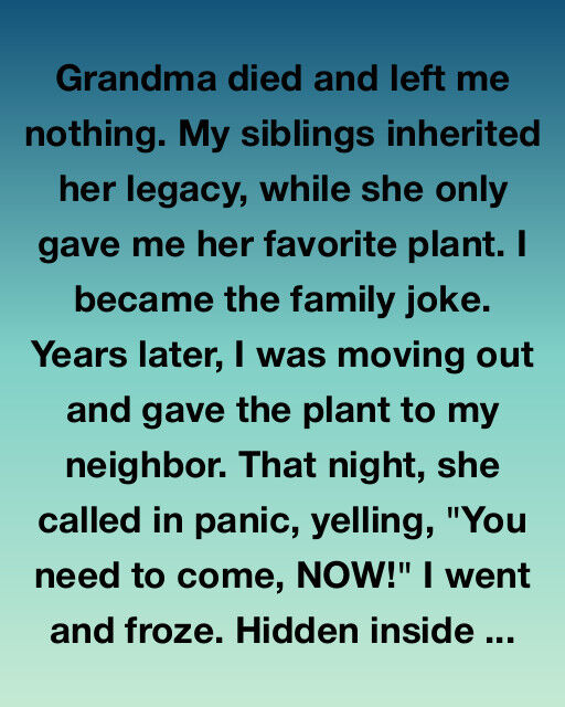 The Plant Grandma Left Me