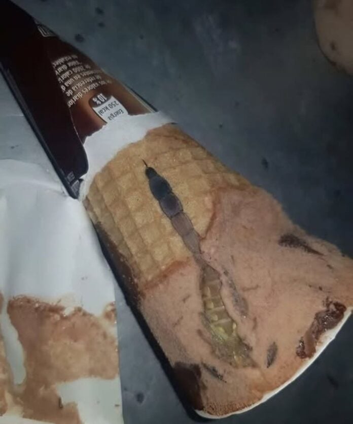 My Daughter Found Something Terrifying Hidden Inside Her Chocolate Ice Cream — What We Discovered Left Us Shocked