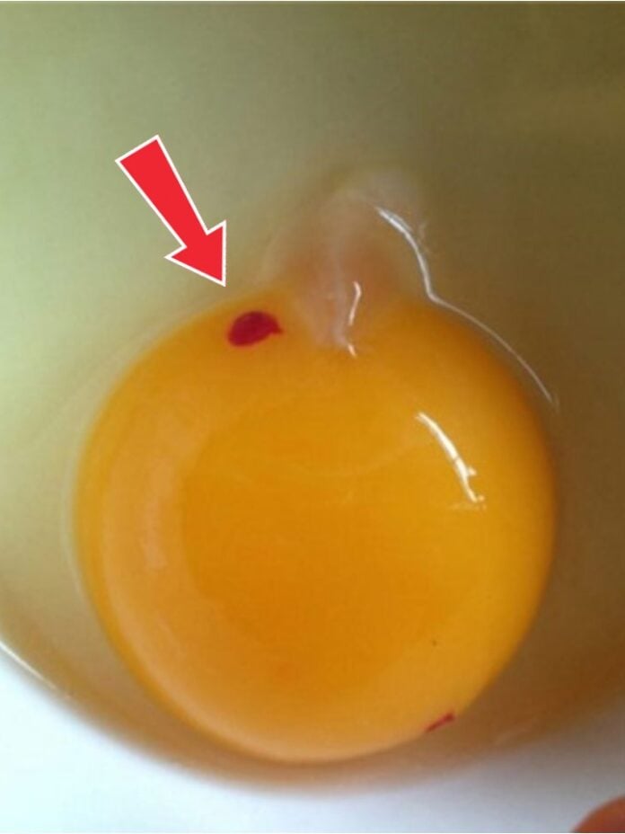Is It Safe to Eat Eggs With Red Spots? A Clear Guide for Everyday Cooks