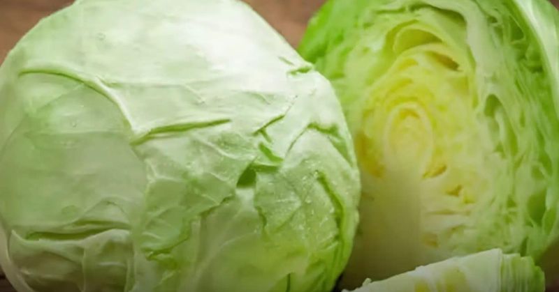 4 Types of People Who Should AVOID Eating Cabbage