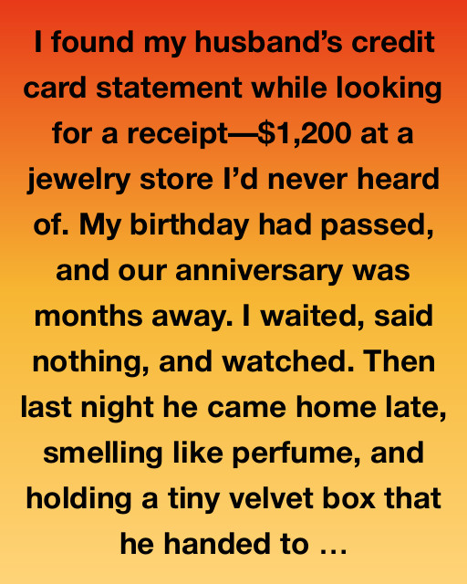 The Velvet Box And The Hidden Truth