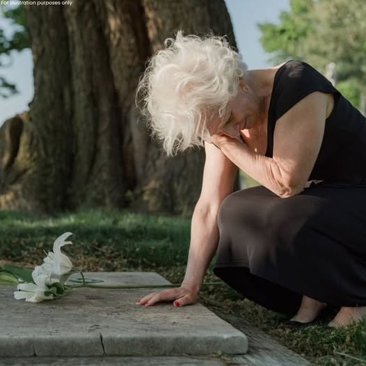 “Ma’am… we’ve arrived,” the cabbie said as he pulled over at the cemetery gate,