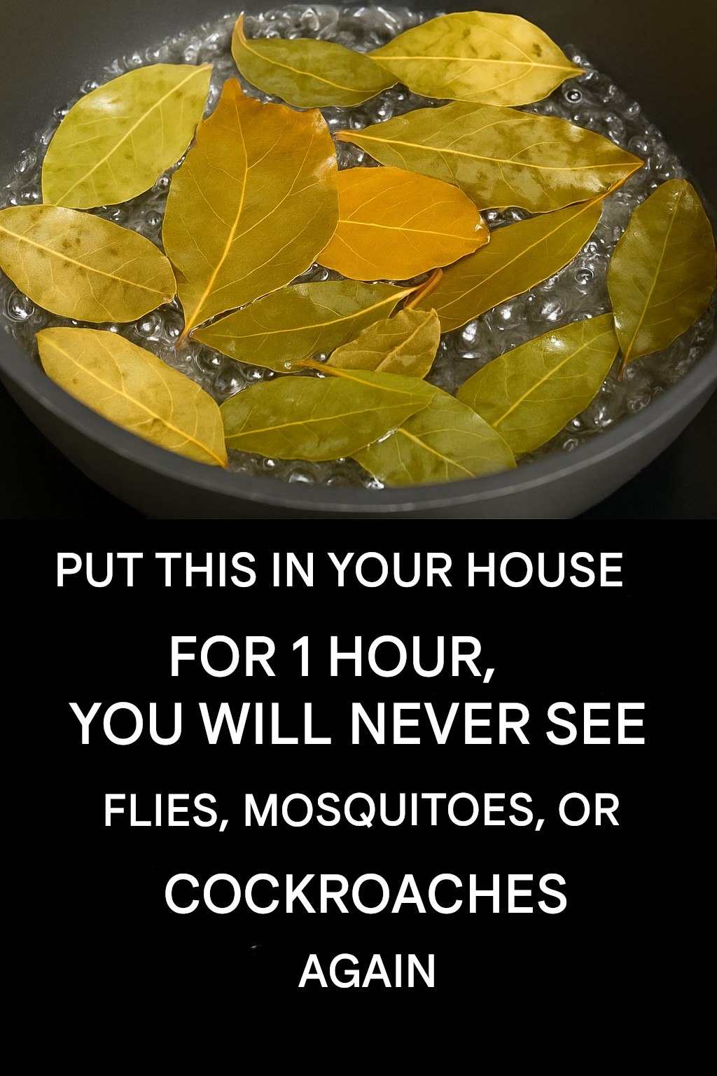 Say goodbye to flies, mosquitoes and cockroaches boiling these leaves