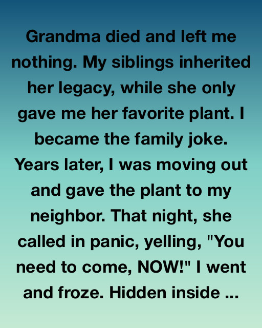 The Plant Grandma Left Me!