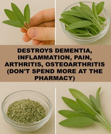 A Natural Miracle for Brain Health, Inflammation, and Joint Pain