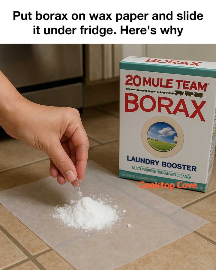 Put borax on wax paper and slide it under fridge. Here’s why. Full article 👇 💬