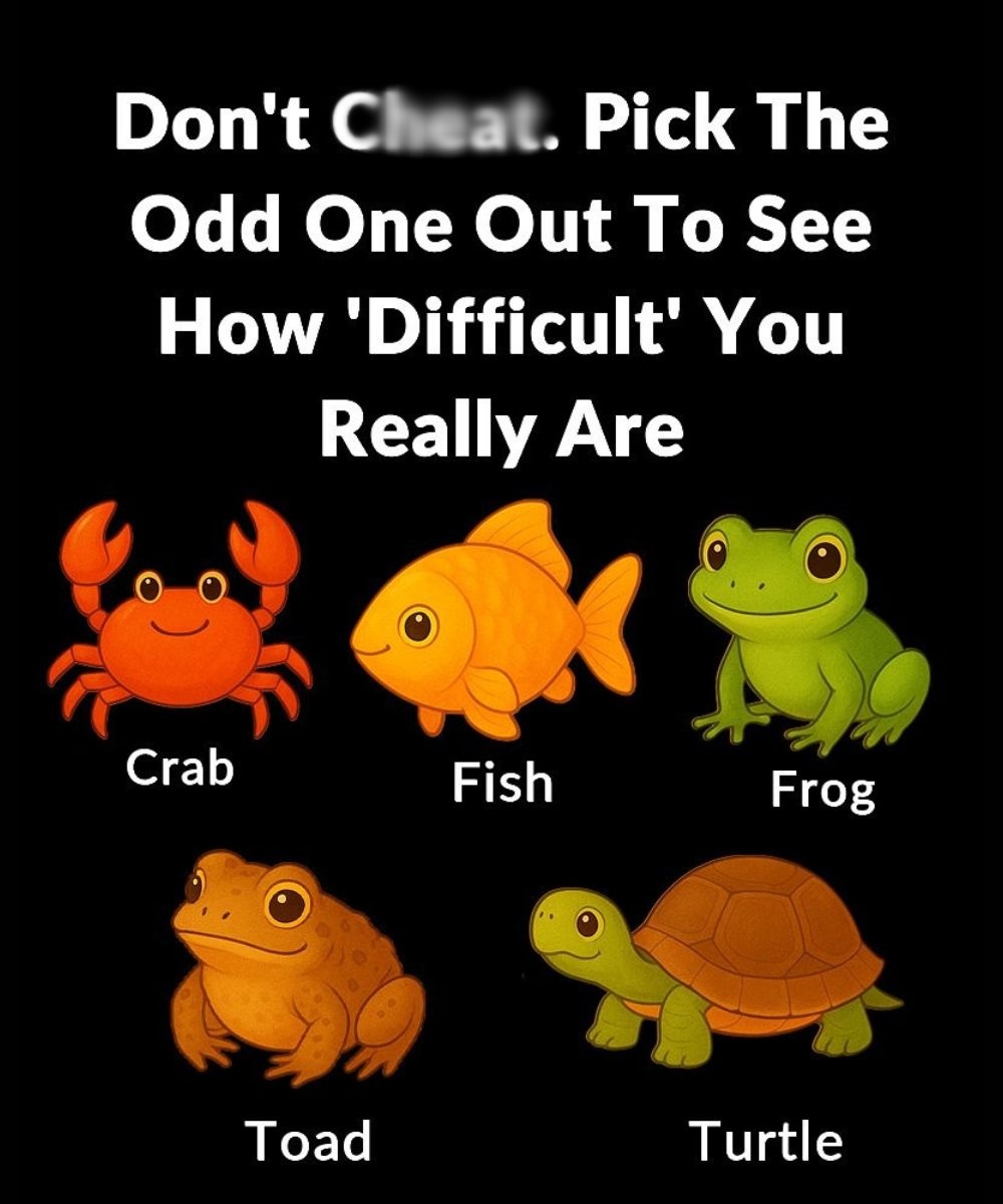 How Your Choice in a Simple “Odd One Out” Puzzle Reveals Your Unique Thinking Style