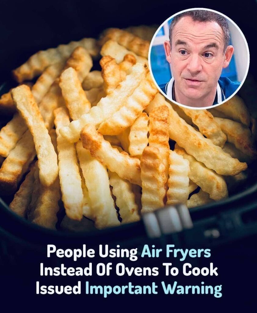 Experts caution against using air fryers instead of ovens