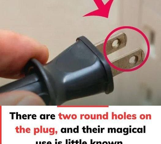 This plug has two round holes, but most people don’t know their clever purpose.