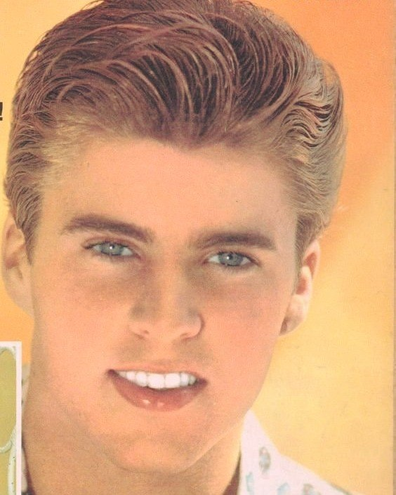 Ricky Nelson’s Heroic Actions Saved His Twin Boys During a Plane Crash